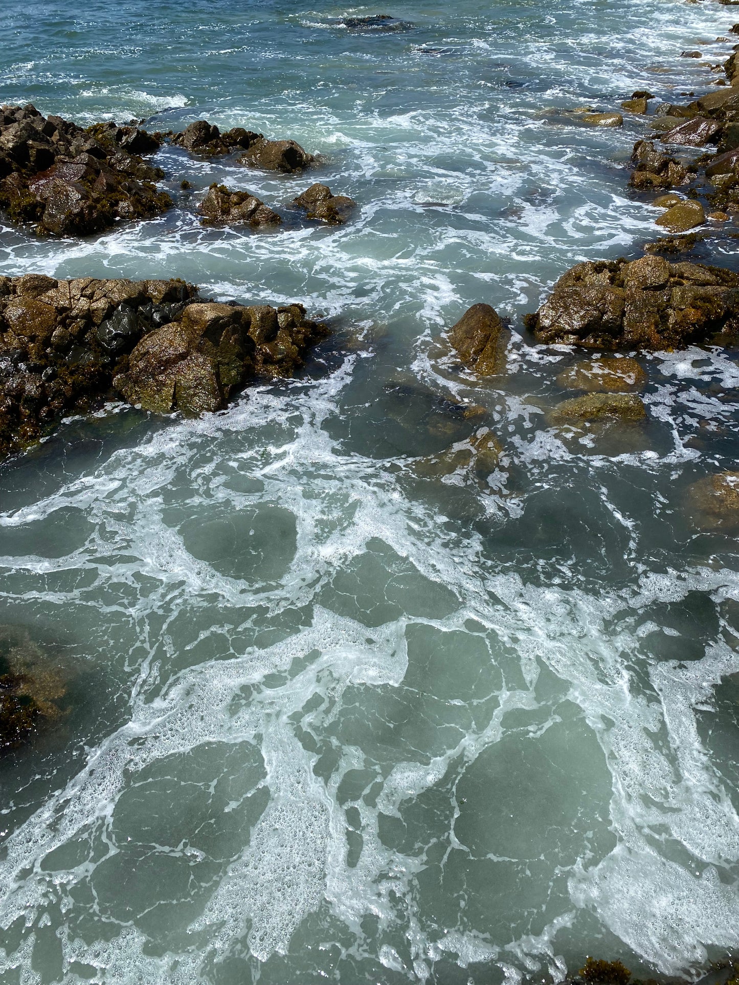 Polera Puerto Cálido